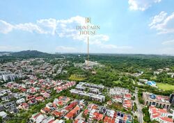 Dunearn Road (D11), Condominium #590593601